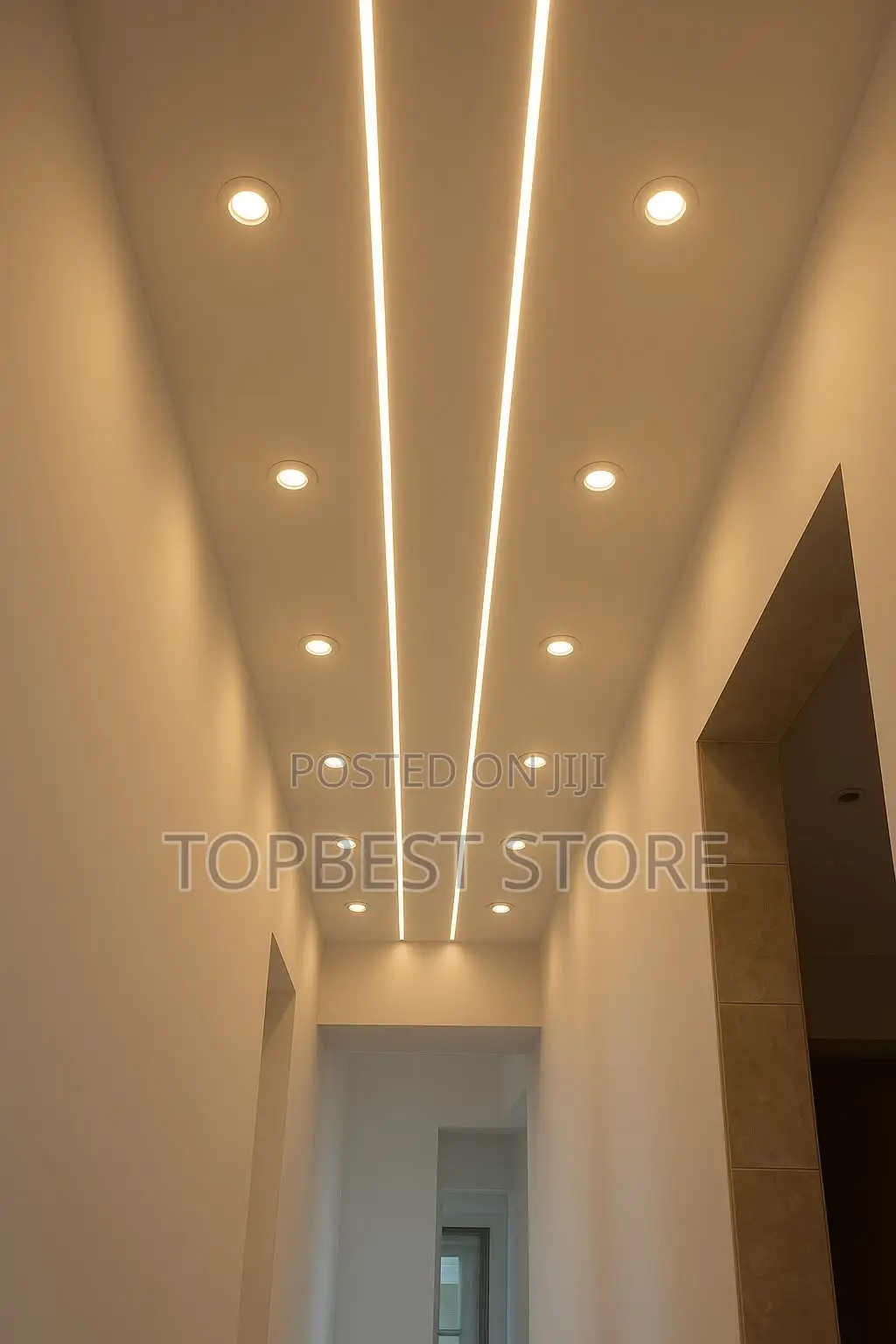Aluminum Profile Ceiling Light