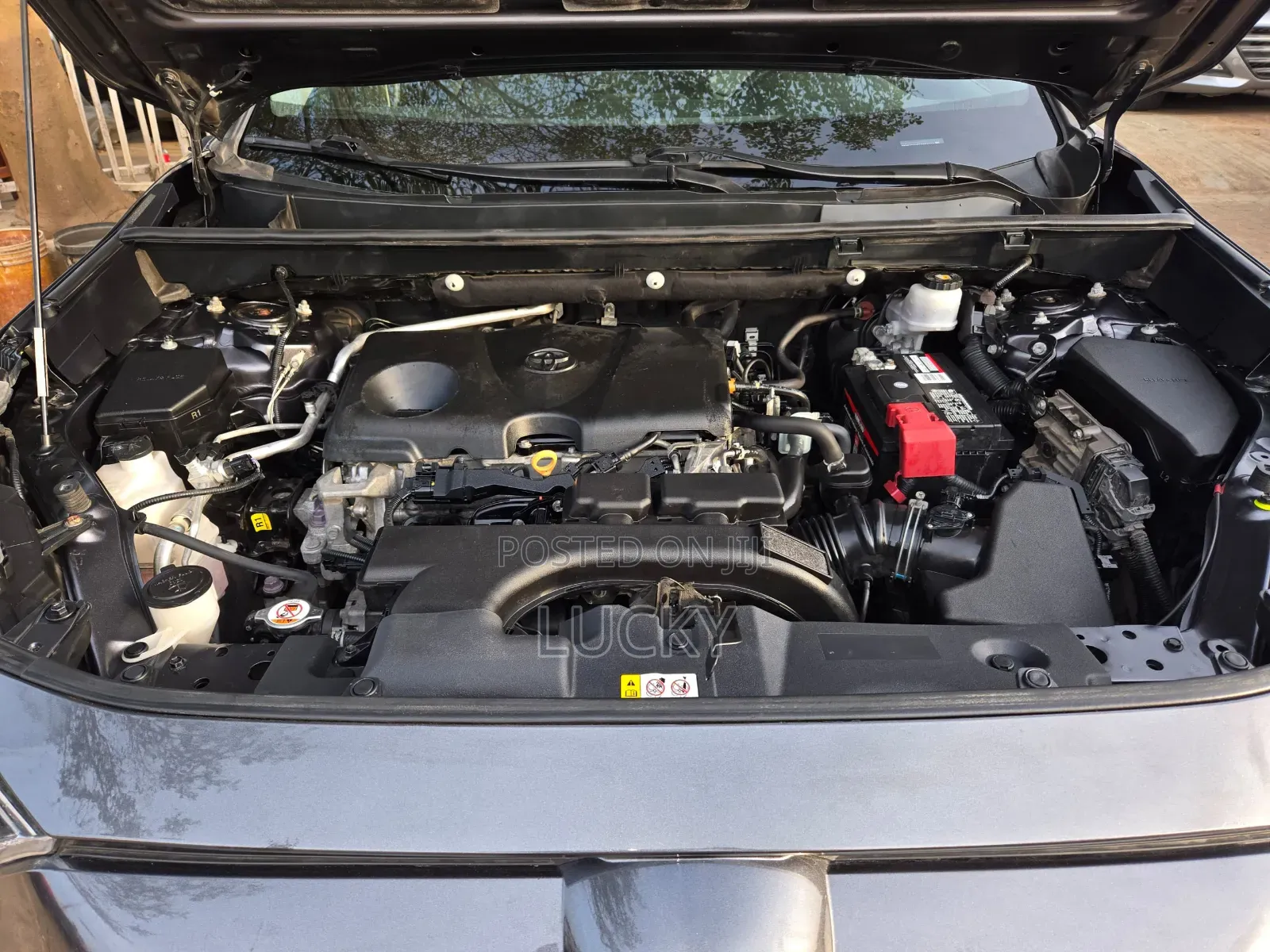 Toyota RAV4 Limited FWD 2020 Green