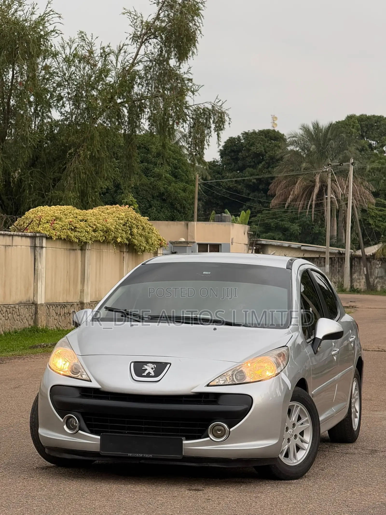Peugeot 207 2009 Silver