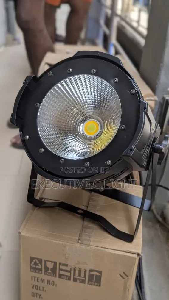 100w COB LED Par Light