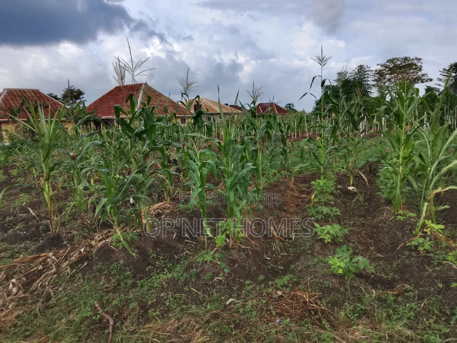 2 Plots of Land Is Available