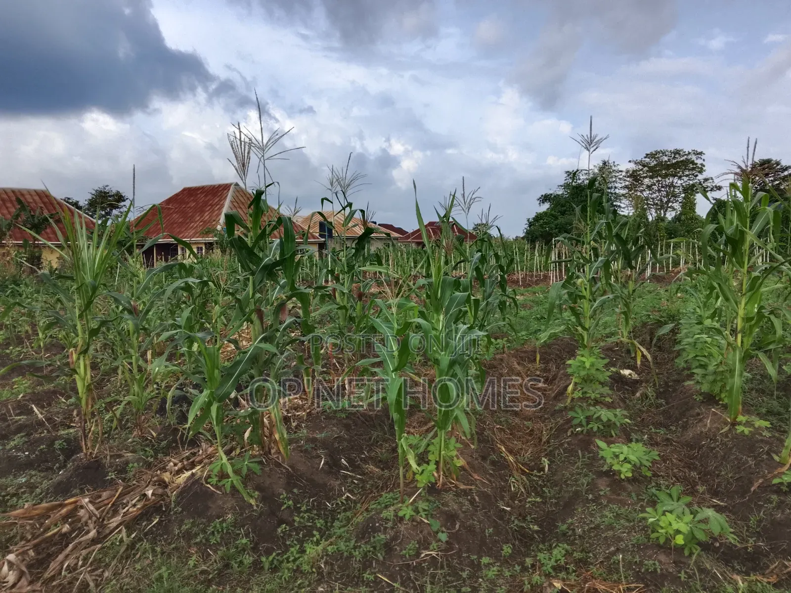 2 Plots of Land Is Available