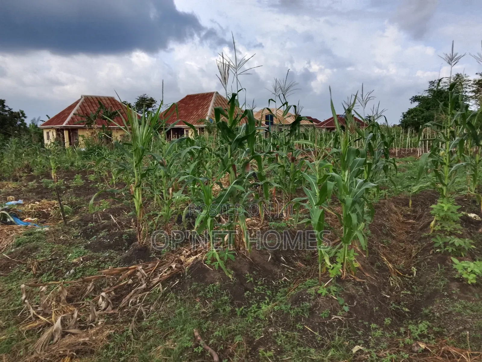 2 Plots of Land Is Available