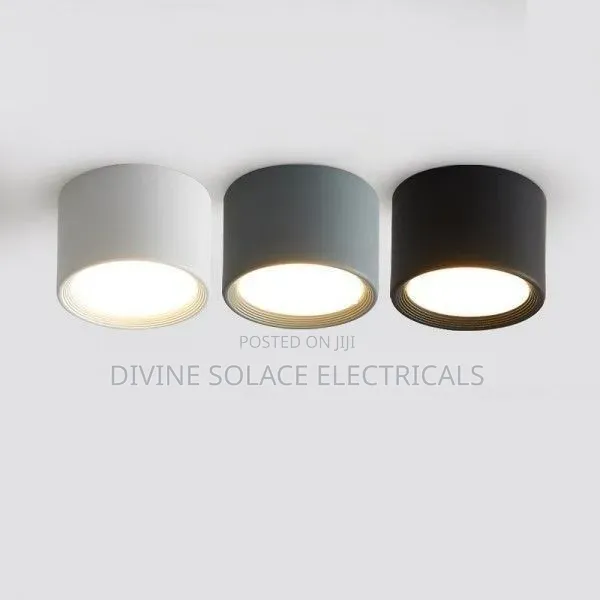 Ceiling Light