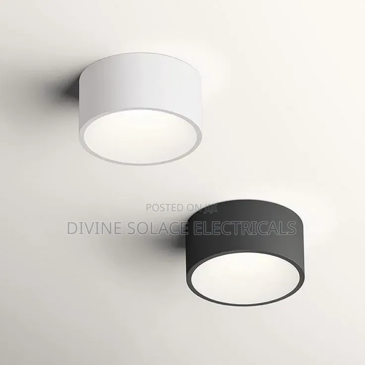 Ceiling Light