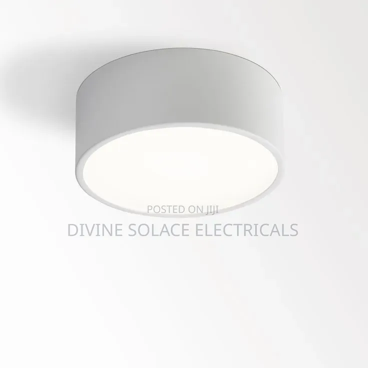 Ceiling Light