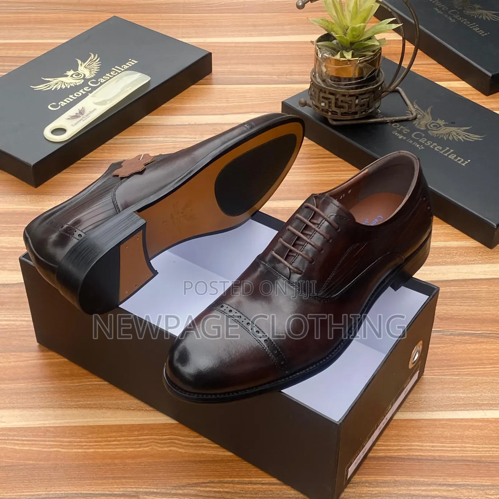 Men’s Italian Leather Shoes – Medium Sole