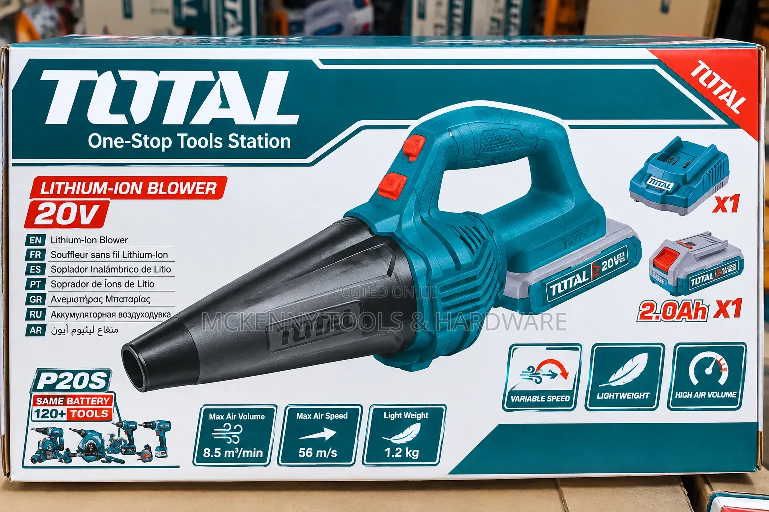 TOTAL 20V Lithium-Ion Cordless Blower + 2.0Ah Battery Charger