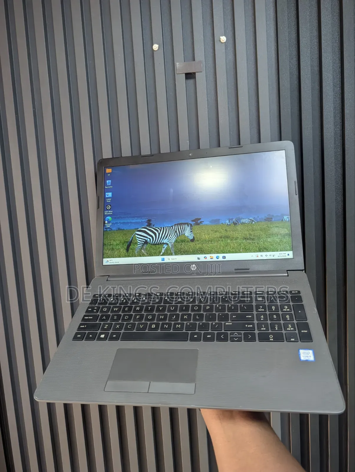 Laptop HP 250 G7 8GB Intel Core i5 SSD 256GB