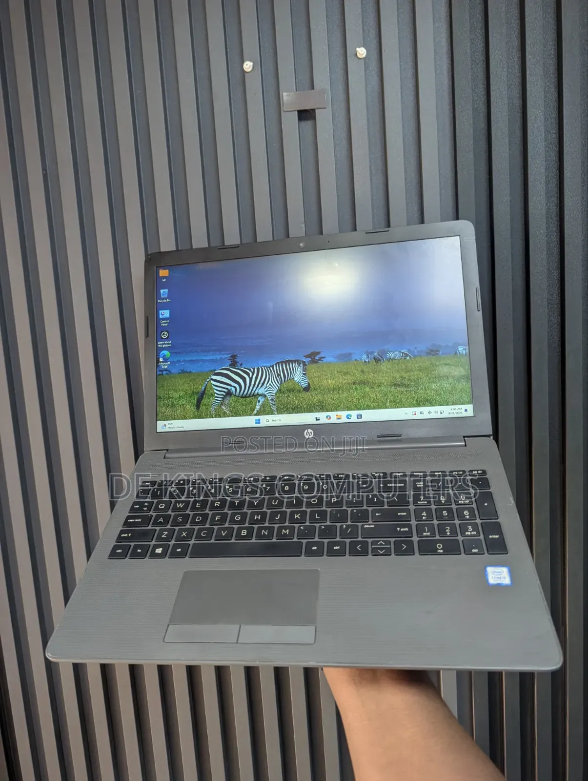 Laptop HP 250 G7 8GB Intel Core i5 SSD 256GB