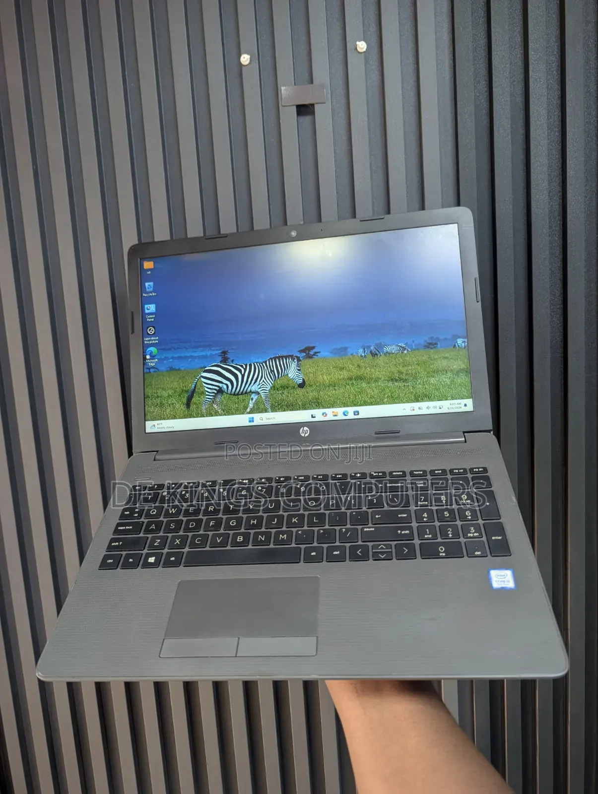 Laptop HP 250 G7 8GB Intel Core i5 SSD 256GB