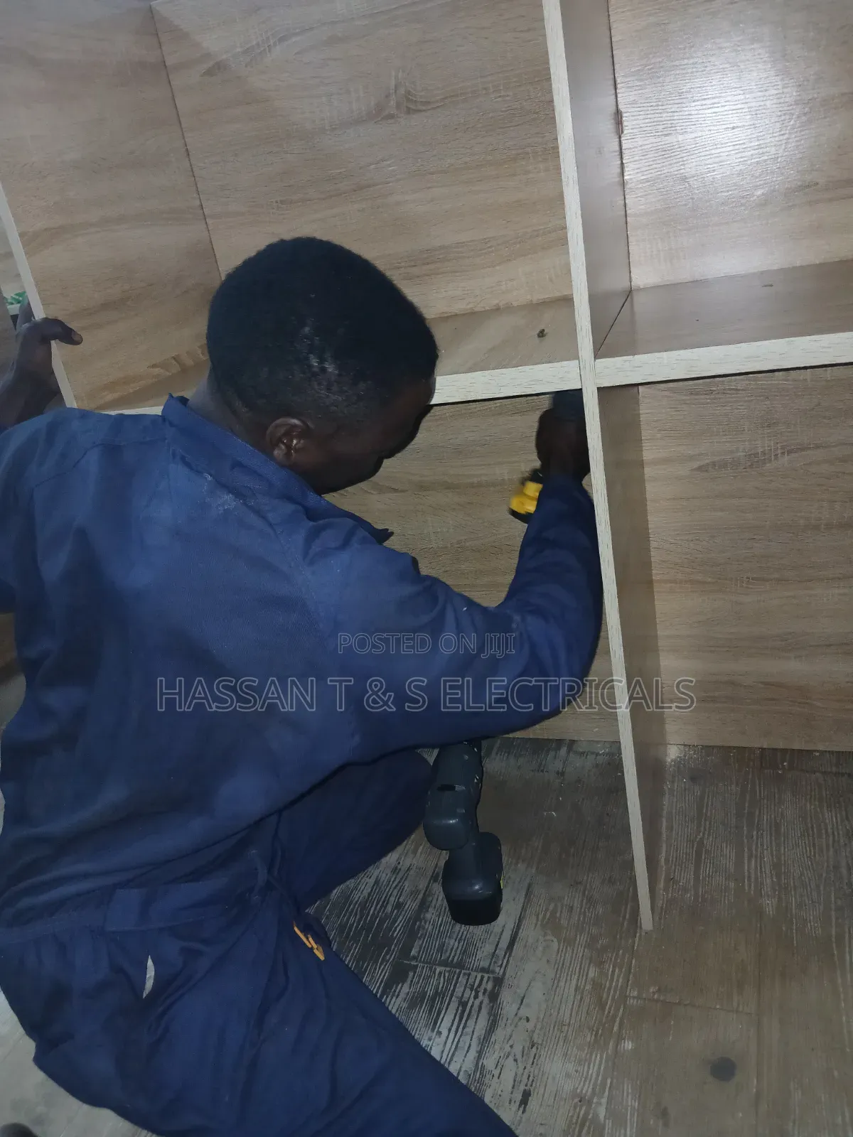 Professional Electrician