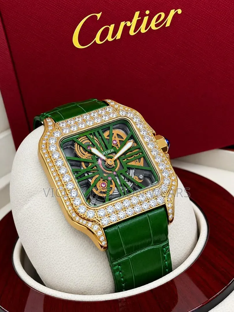 *Cartier Luxury Leather Strap Stone Head Skeleton Face