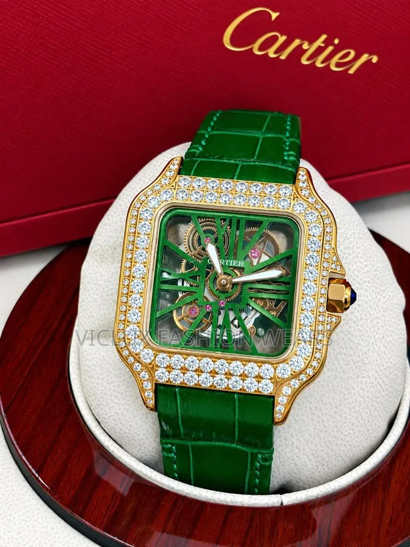 *Cartier Luxury Leather Strap Stone Head Skeleton Face