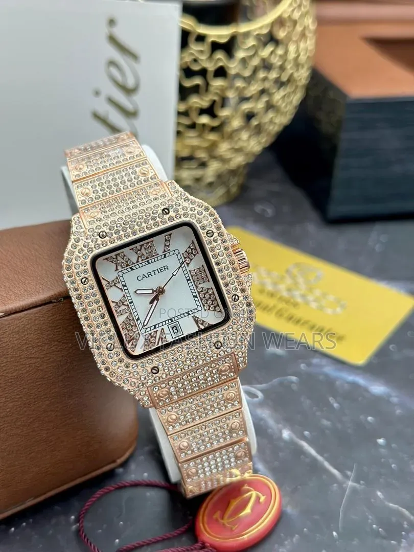 Cartier Ice Quality Wrist Watch
