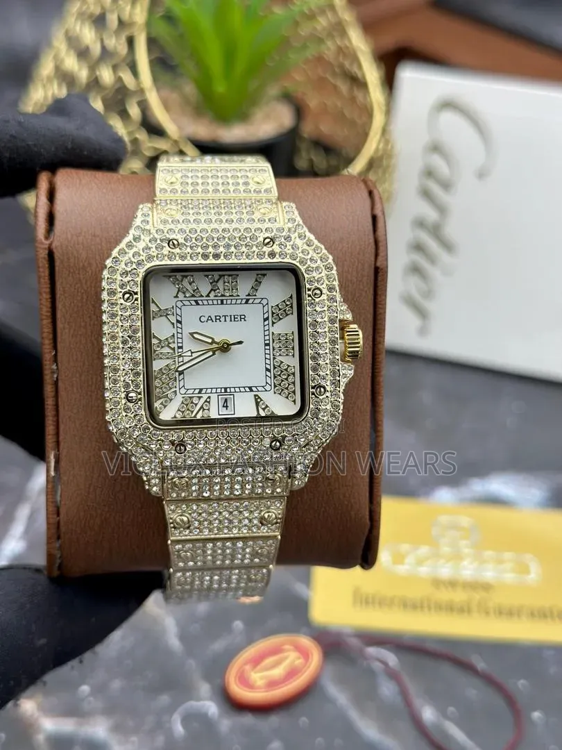 Cartier Ice Quality Wrist Watch
