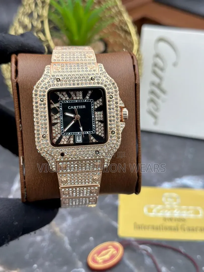 Cartier Ice Quality Wrist Watch