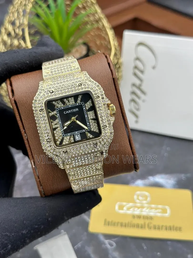 Cartier Ice Quality Wrist Watch