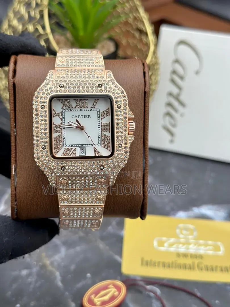 Cartier Ice Quality Wrist Watch