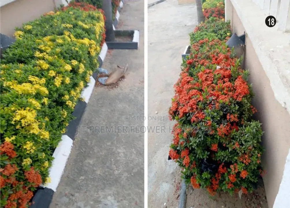 JT Premier Flower Garden Beautification