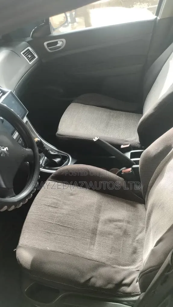 Peugeot 307 2.0 Premium 2005 Purple