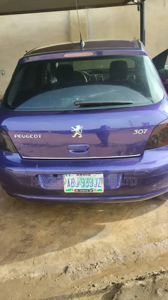 Peugeot 307 2.0 Premium 2005 Purple