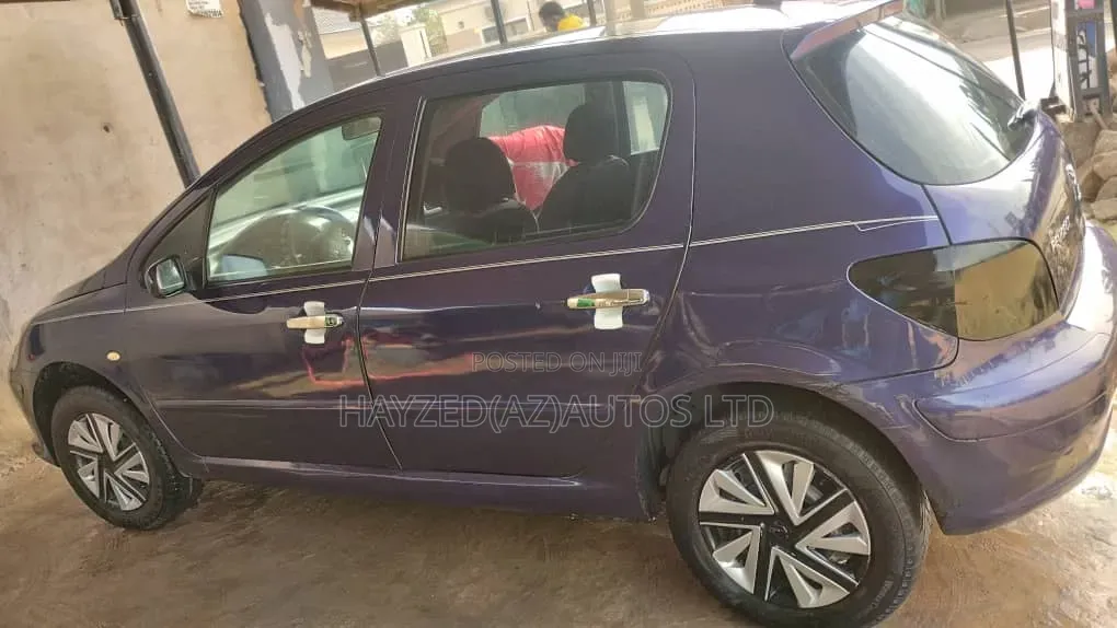 Peugeot 307 2.0 Premium 2005 Purple