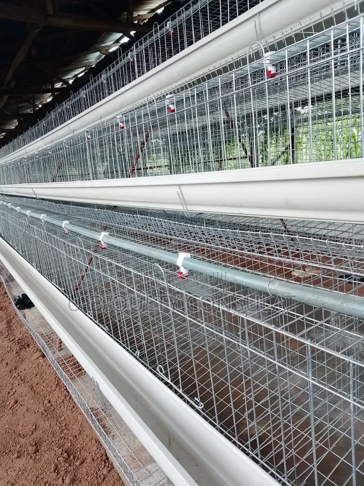 Battery Cage