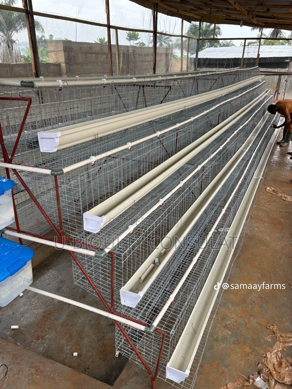 Battery Cage