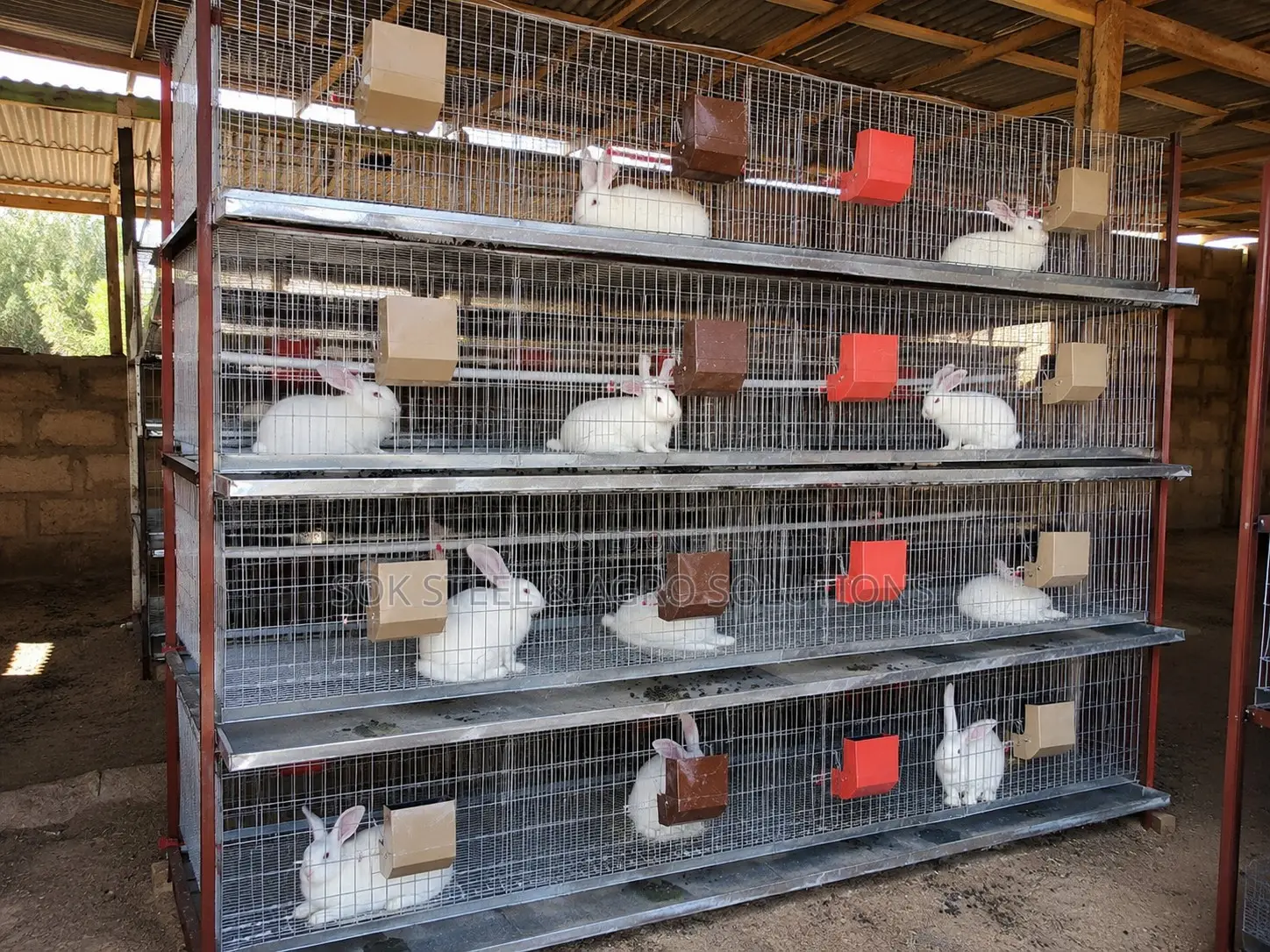 Rabbit Cage System With Feeders Drinkers