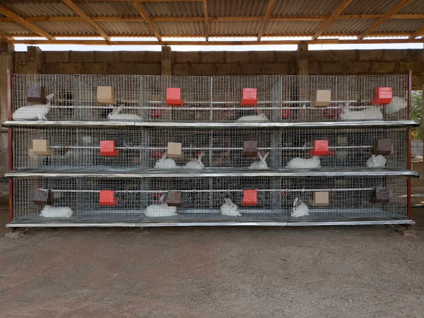 Rabbit Cage System With Feeders Drinkers