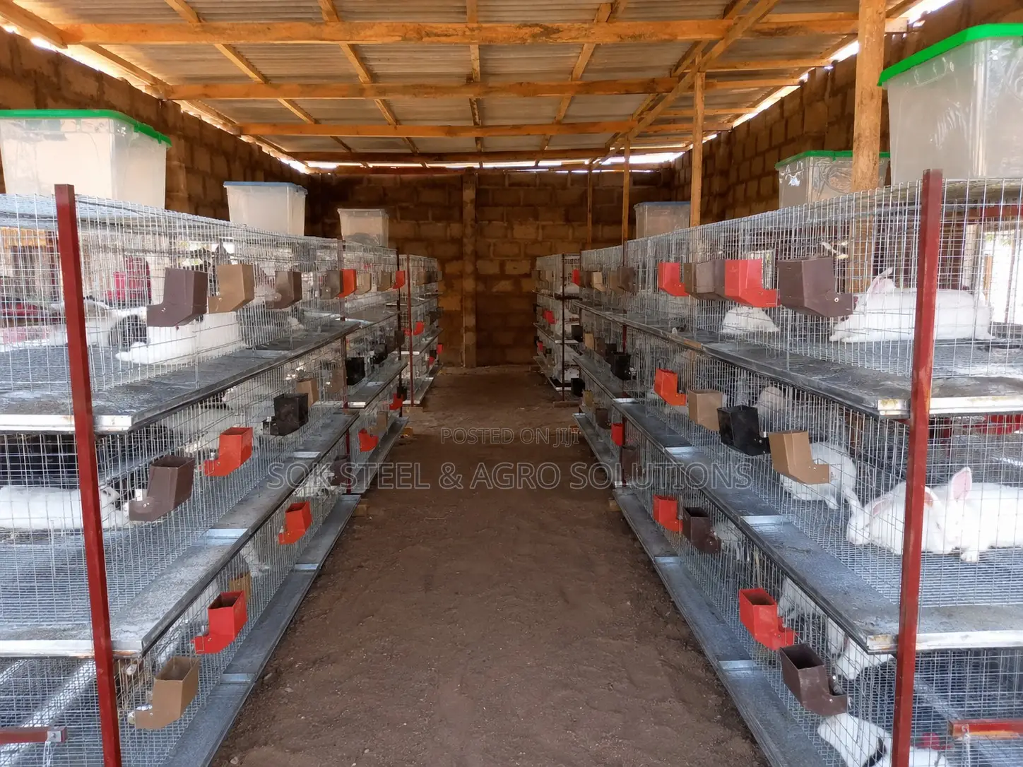 Rabbit Cage System With Feeders Drinkers