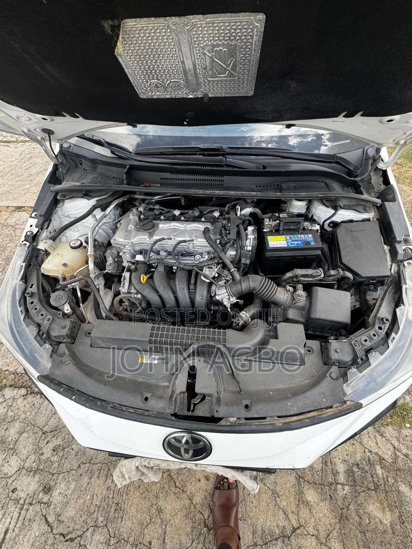 Toyota Corolla LE Eco (1.8L 4cyl 2A) 2019 White