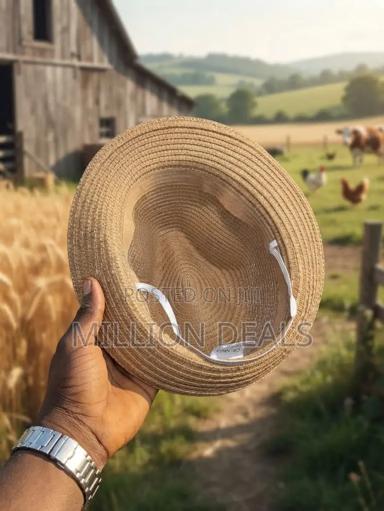 Mid Brim Straw Stylish Men's Hat