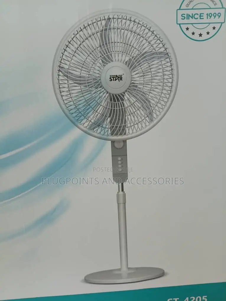 Wining Star Electric Stand Fan