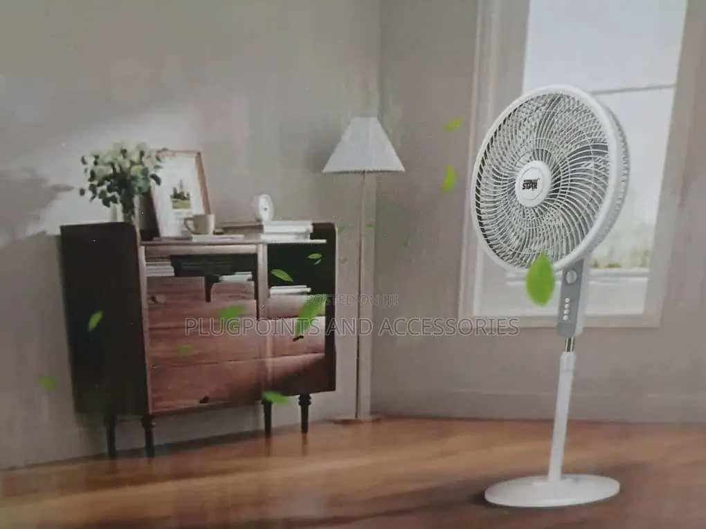 Wining Star Electric Stand Fan