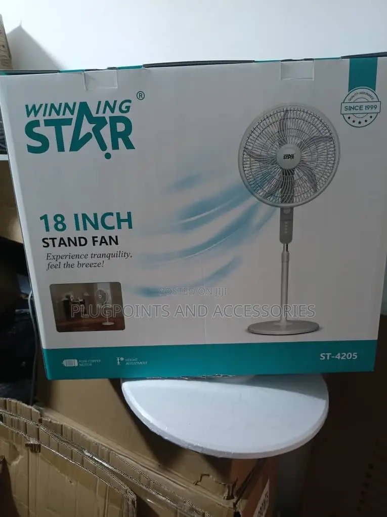 Wining Star Electric Stand Fan