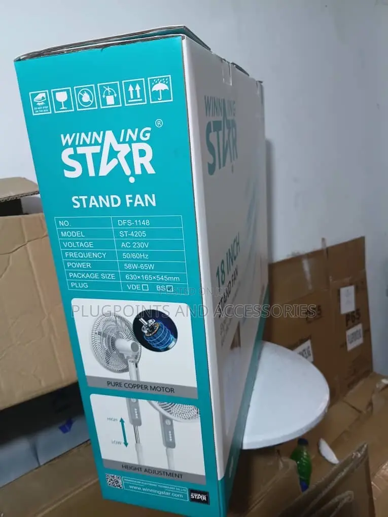 Wining Star Electric Stand Fan