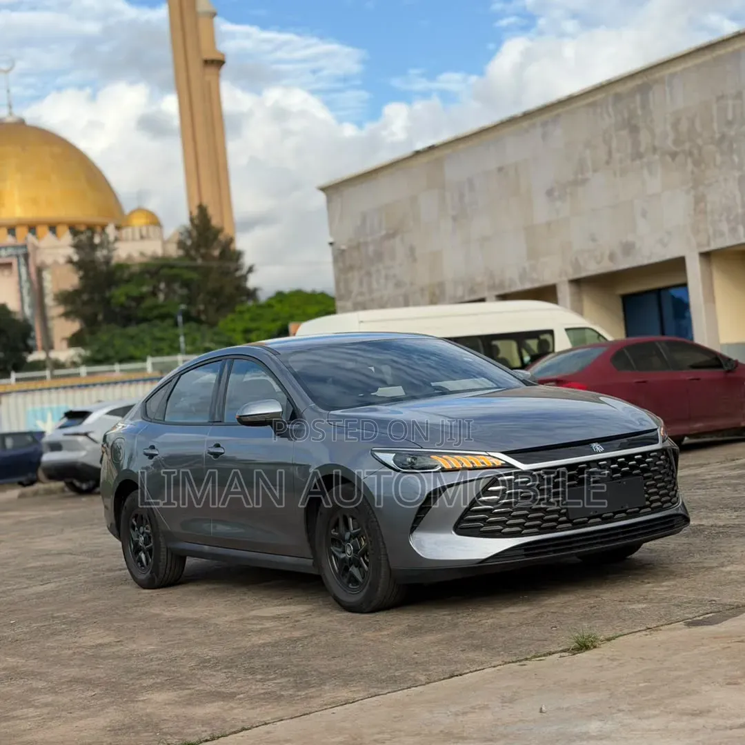 New BYD Qin Plus DM-i 2025 Silver