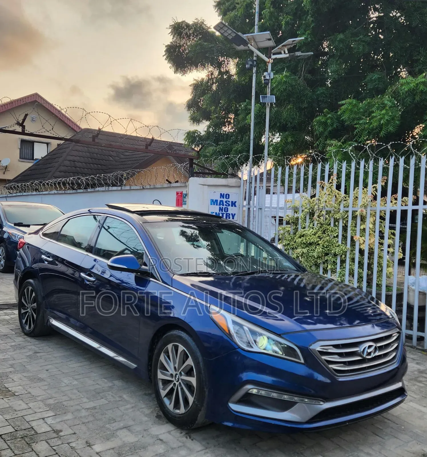 Hyundai Sonata Sport 2.0T 4dr Sedan (2.0L 4cyl Turbo 6A) 2015 Blue
