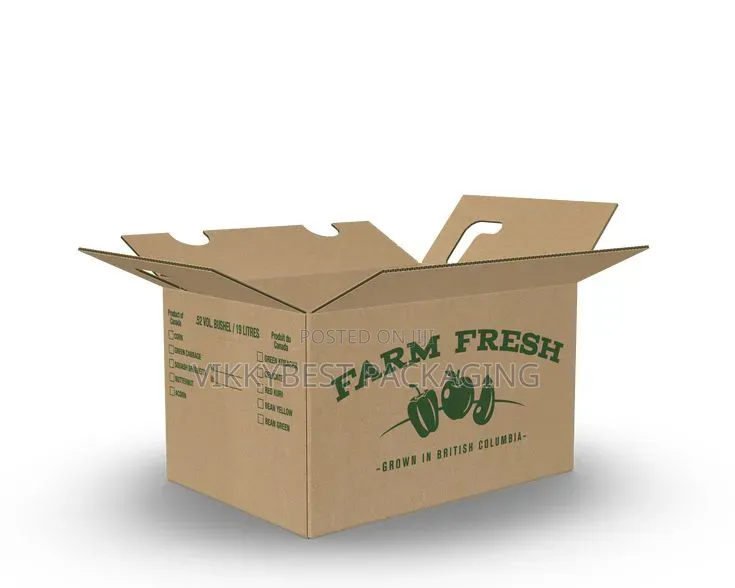 Carton Boxes for Pepper Packaging | Strong Durable