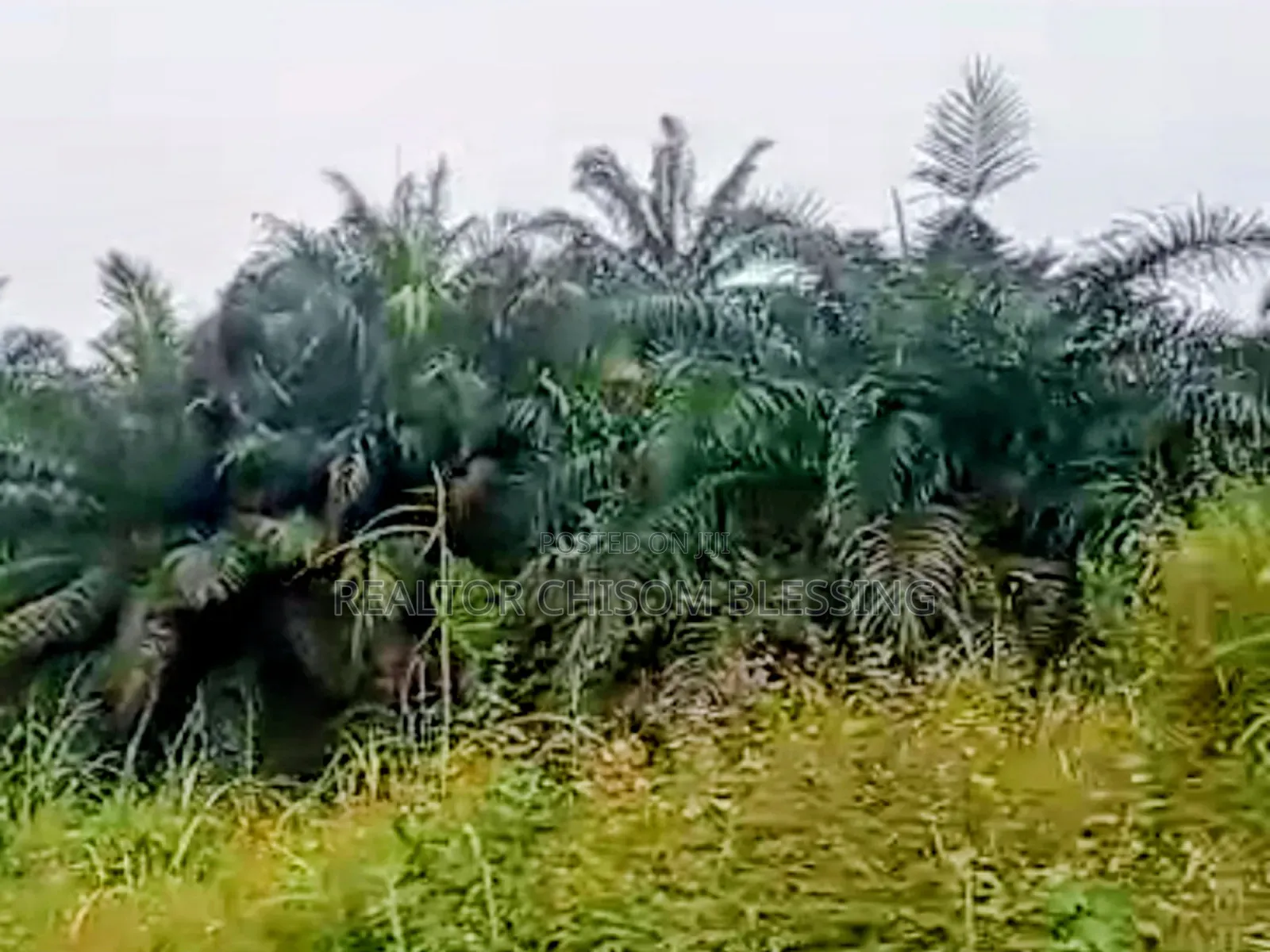 2 Plots for Sale at Abia Tower, Umuahia