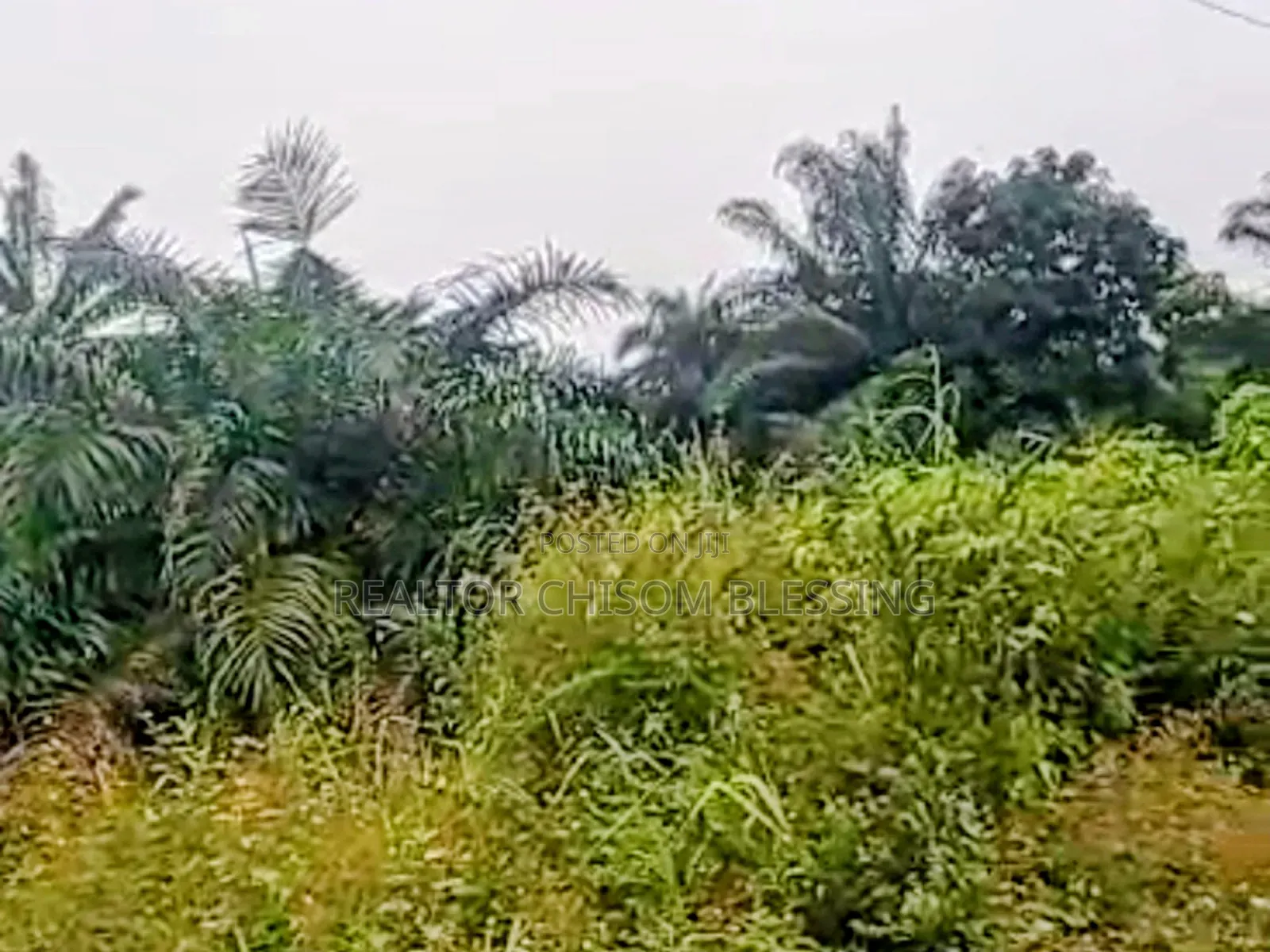 2 Plots for Sale at Abia Tower, Umuahia