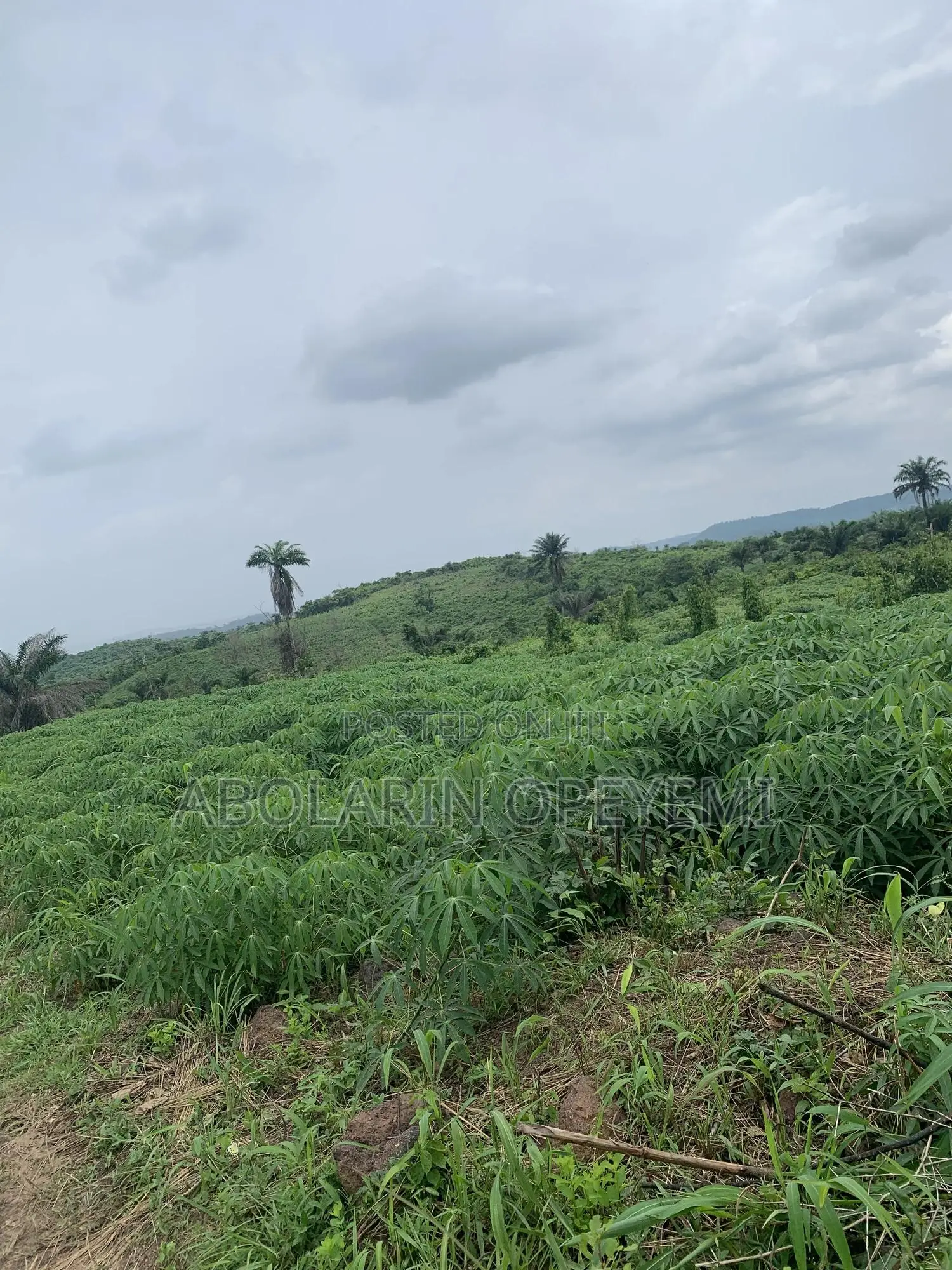 10 Acres of Land for Sale at Mile 8 Opp University of Medical Sciences