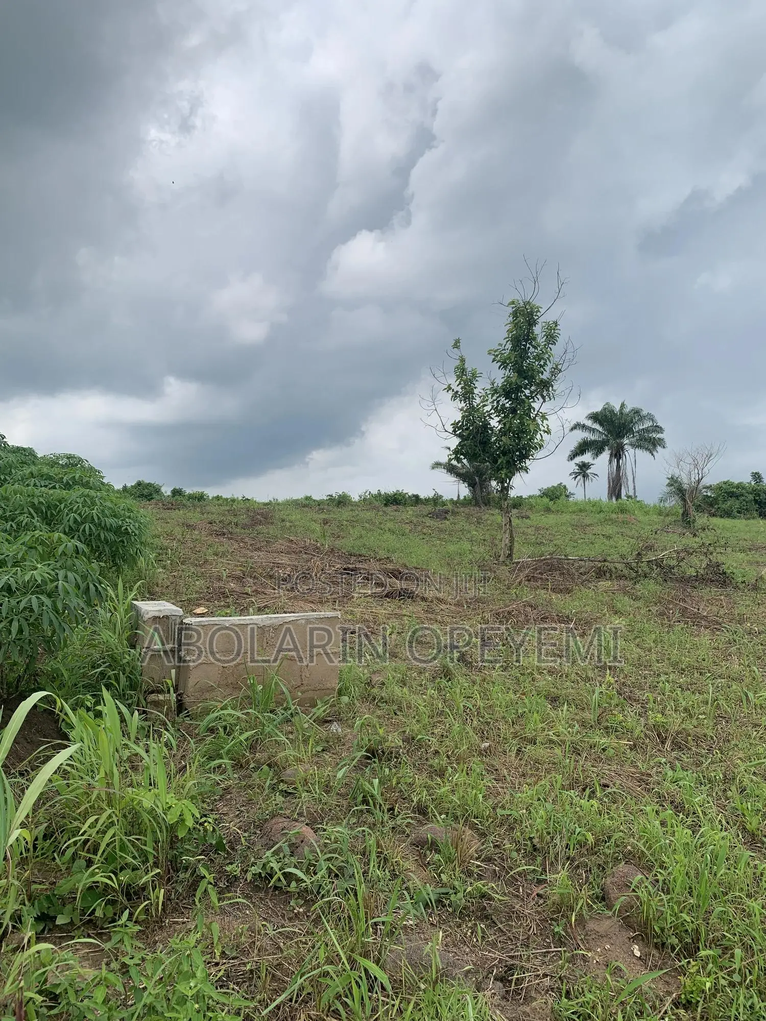 10 Acres of Land for Sale at Mile 8 Opp University of Medical Sciences