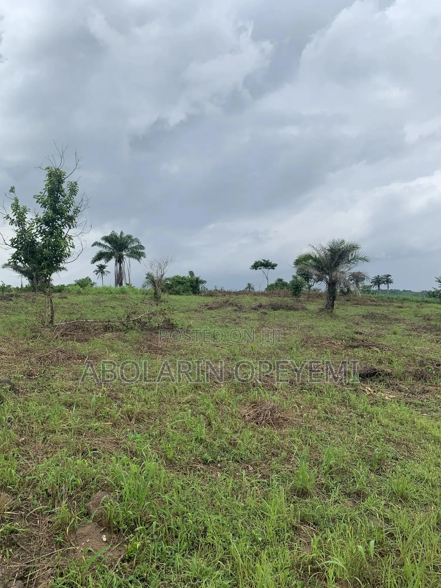 10 Acres of Land for Sale at Mile 8 Opp University of Medical Sciences