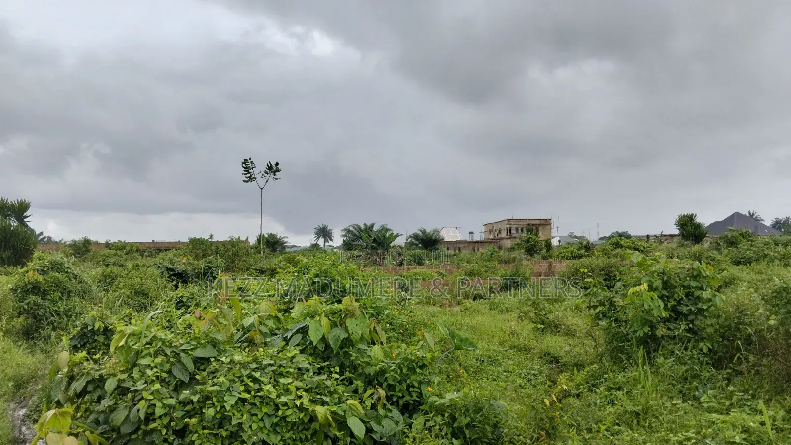 For Sale : 4 1⁄2 Plots Aba Owerri Road Naze Owerri