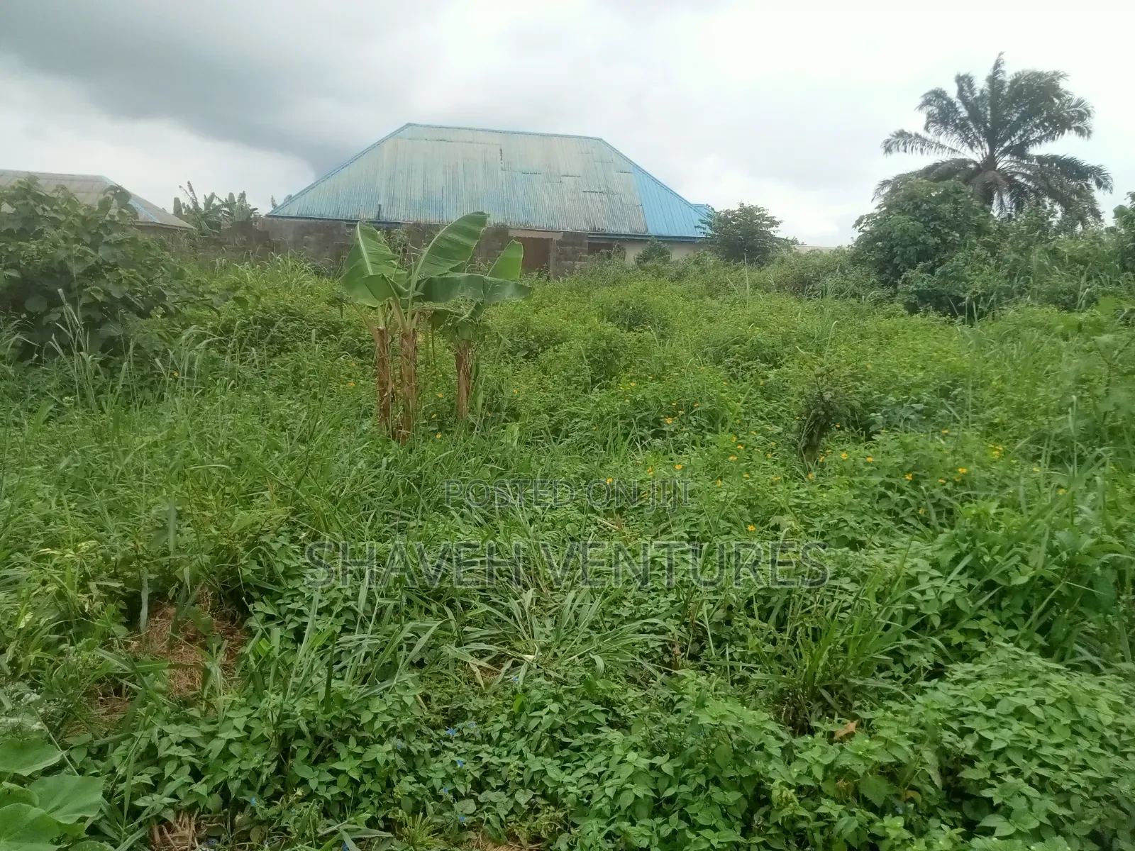 Quarter Plot for Sale Abiola Canancity