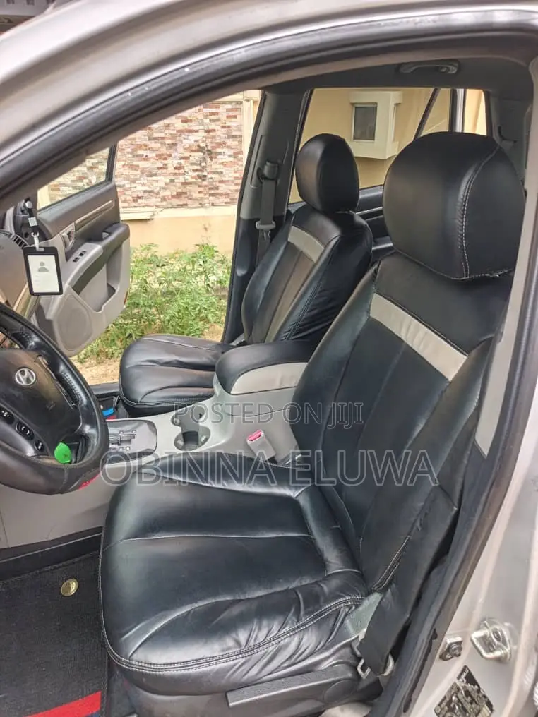Hyundai Santa Fe 2009 Silver