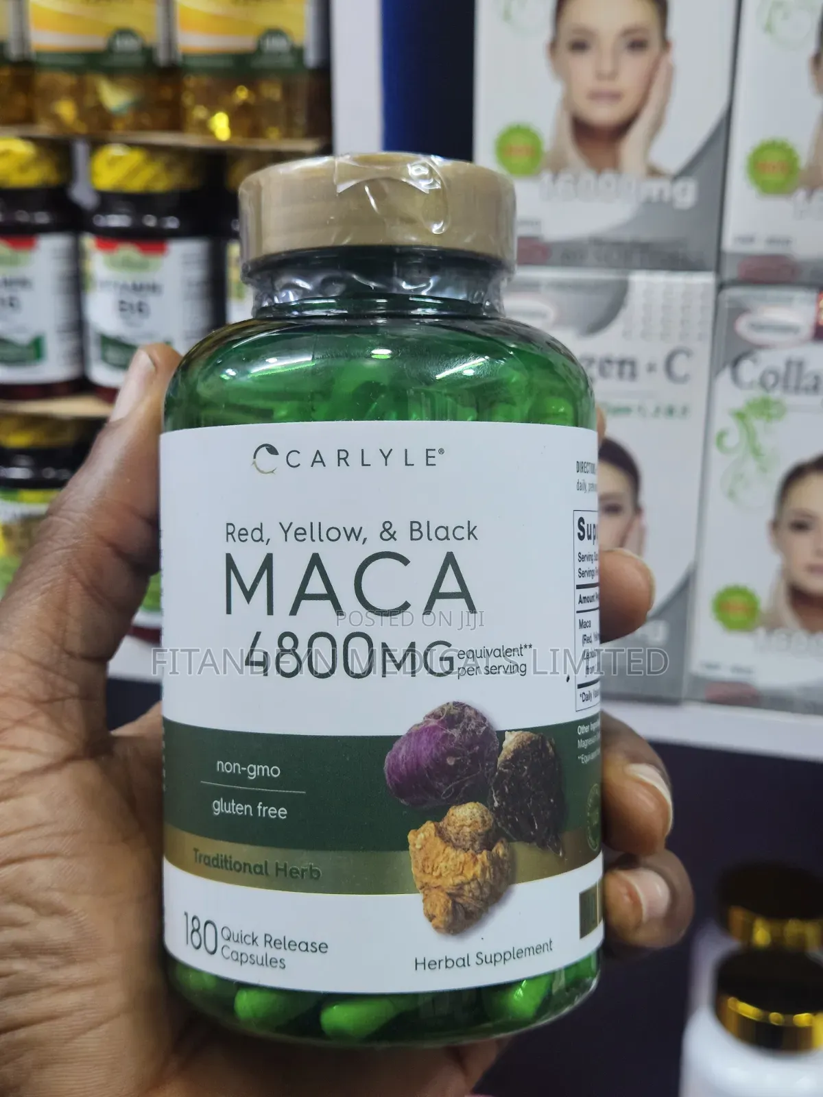 MACA (Red, Yellow, Black)
